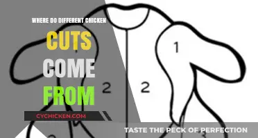 Understanding Chicken Anatomy: Where Your Favorite Cuts Originate