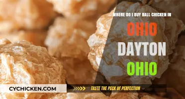 Where to Buy Ball Chicken in Dayton, Ohio: A Guide