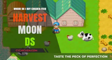 Harvest Moon DS: Best Places to Buy Chicken Feed Guide
