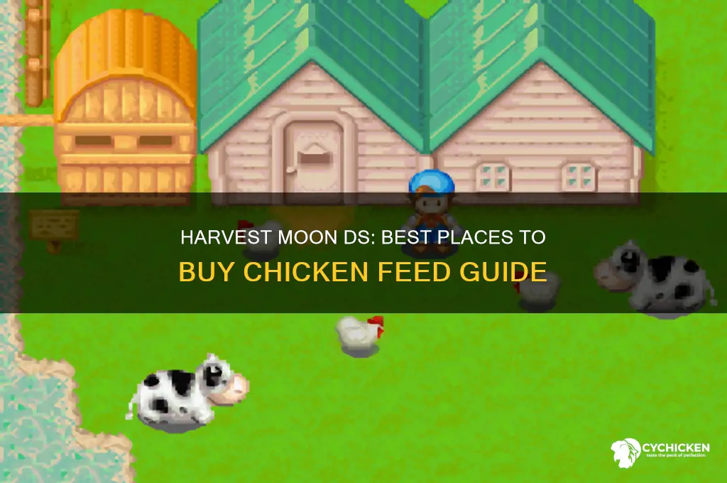where do i buy chicken feed harvest moon ds