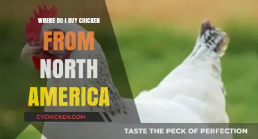 Where to Buy Authentic North American Chicken: A Shopper's Guide