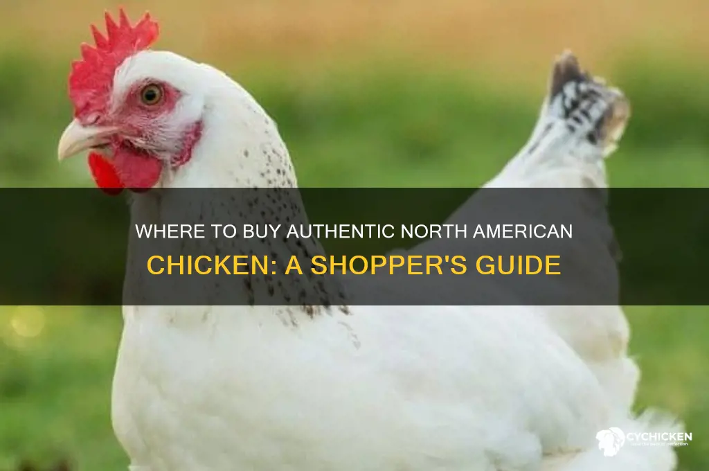 where do i buy chicken from north america