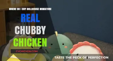 Where to Buy Realistic Chubby Chicken Dollhouse Miniatures Online
