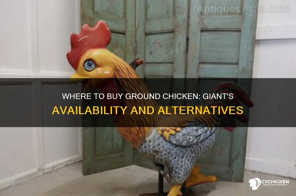 where do i buy ground chicken giant