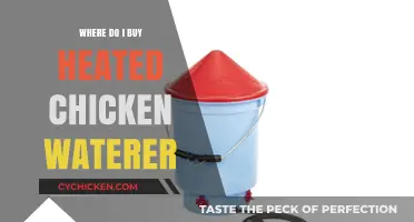 Where to Buy Heated Chicken Waterers: Top Options for Winter Care
