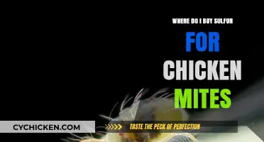 Effective Sulfur Sources for Treating Chicken Mites: Where to Buy