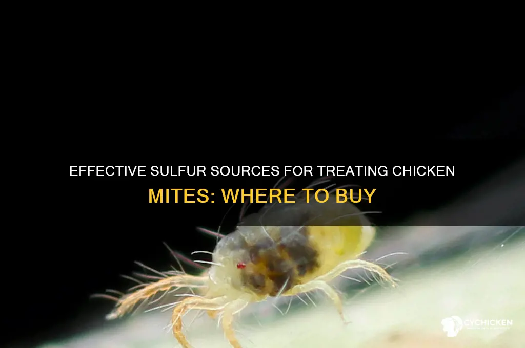 where do i buy sulfur for chicken mites
