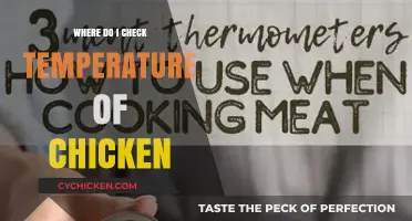 Where to Check Chicken Temperature for Safe and Perfectly Cooked Meals
