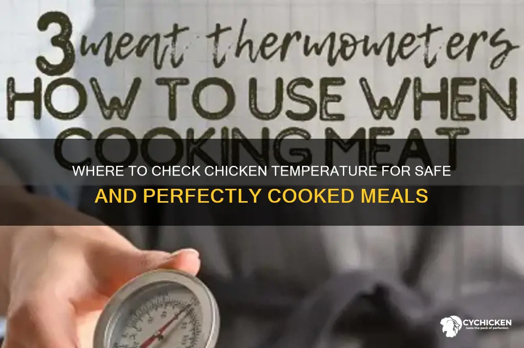 where do i check temperature of chicken