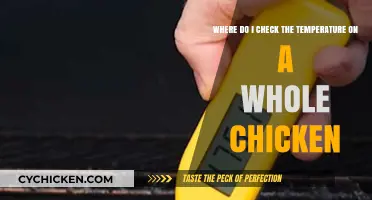 Mastering Poultry Perfection: How to Check a Whole Chicken's Temperature