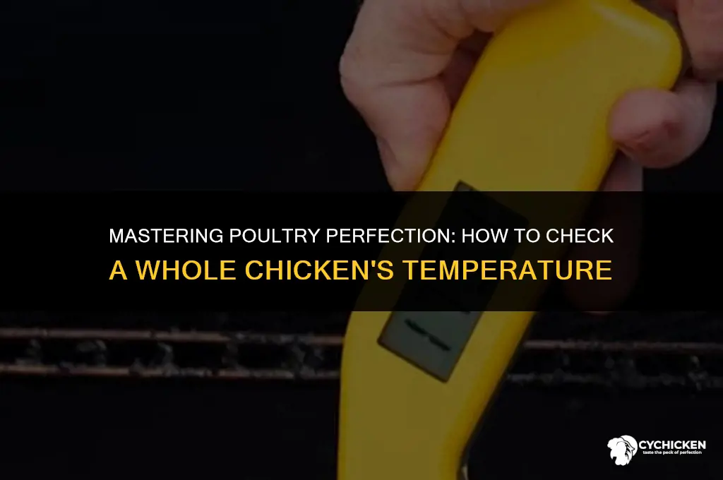 where do i check the temperature on a whole chicken