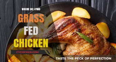 Discovering Grass-Fed Chicken: Where to Find Healthy, Ethical Poultry