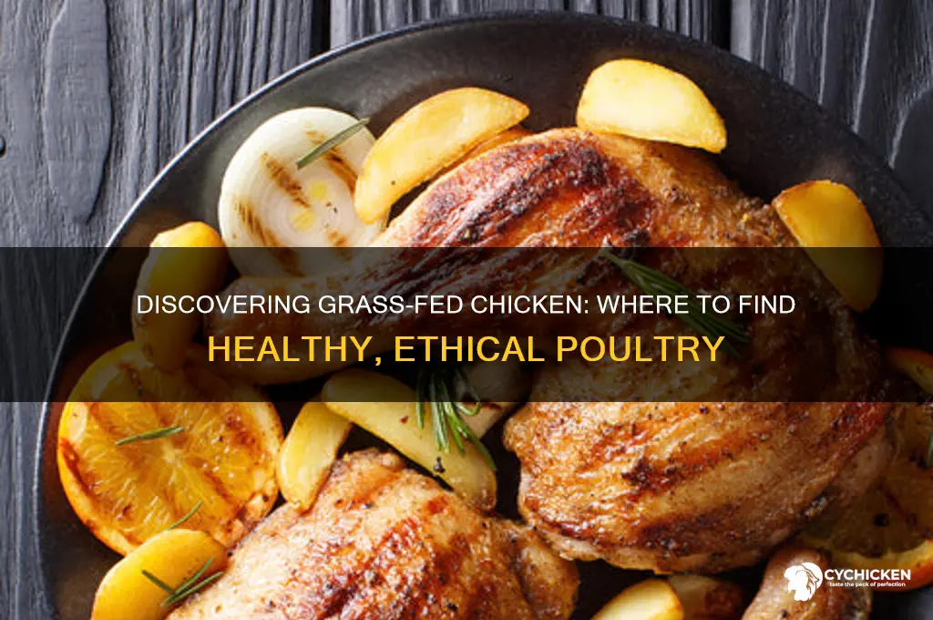 where do i find grass fed chicken
