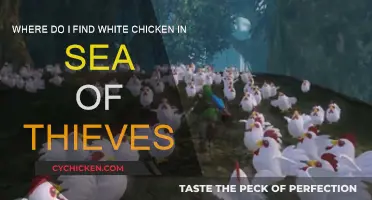Finding White Chicken in Sea of Thieves