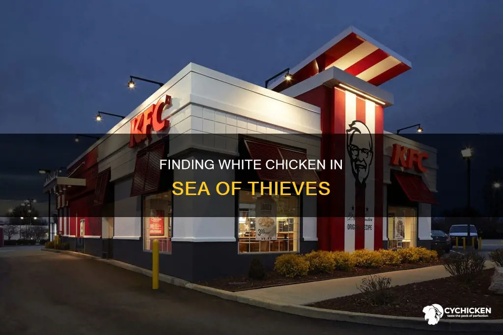 where do i find white chicken in sea of thieves