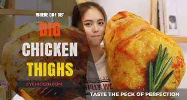 Where to Find Big, Juicy Chicken Thighs: A Shopper's Guide