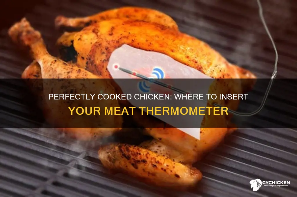 where do i insert meat thermometer in chicken