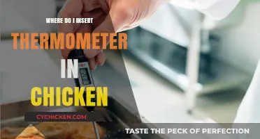 Perfectly Cooked Chicken: Correct Thermometer Placement for Juicy Results