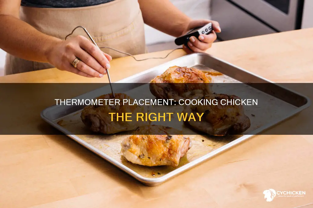 where do i place the thermometer in a chicken