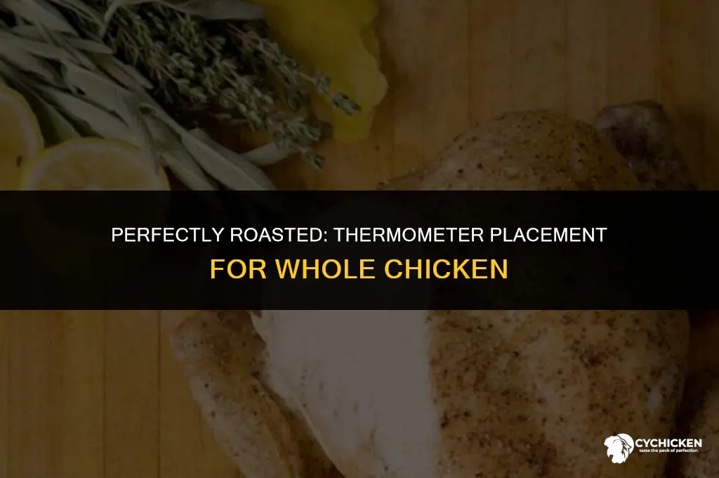 where do i place the thermometer in a whole chicken