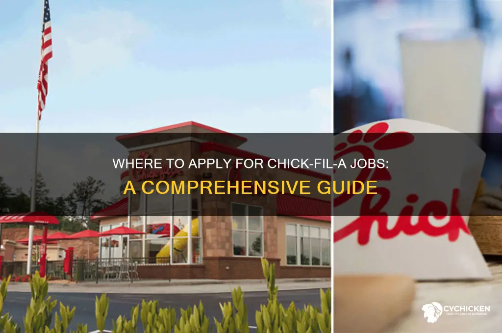 where do ii apply for chick-fi-la