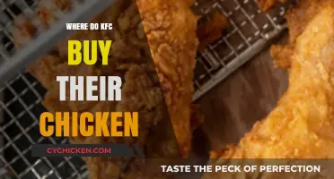 Where Does KFC Source Its Chicken? A Supply Chain Overview