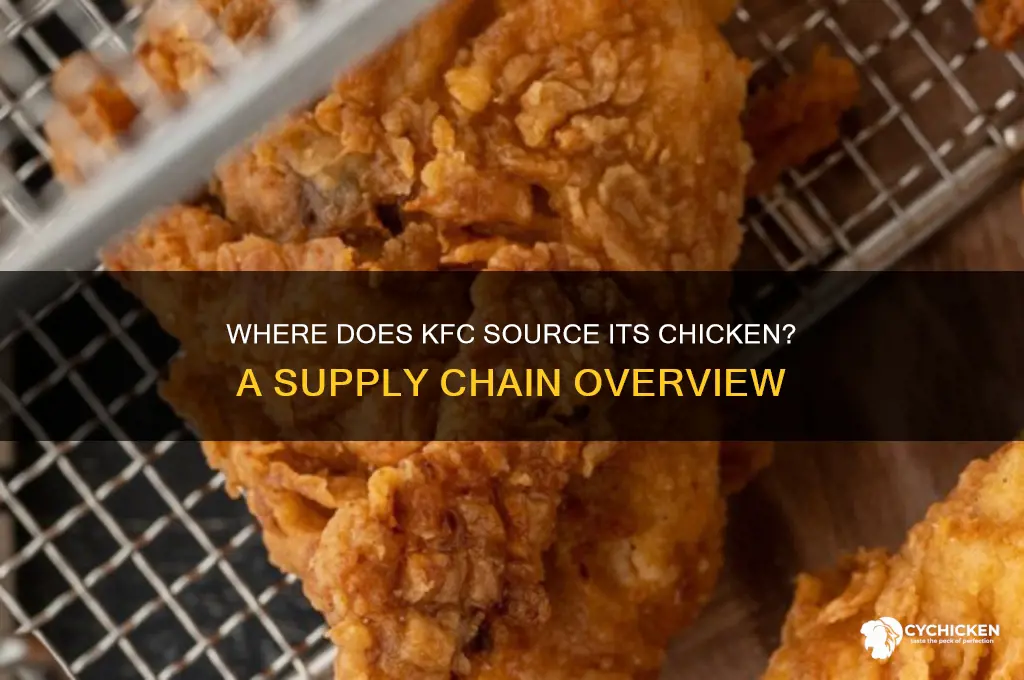 where do kfc buy their chicken