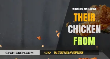 Uncovering KFC's Chicken Supply Chain: Origins and Sourcing Practices