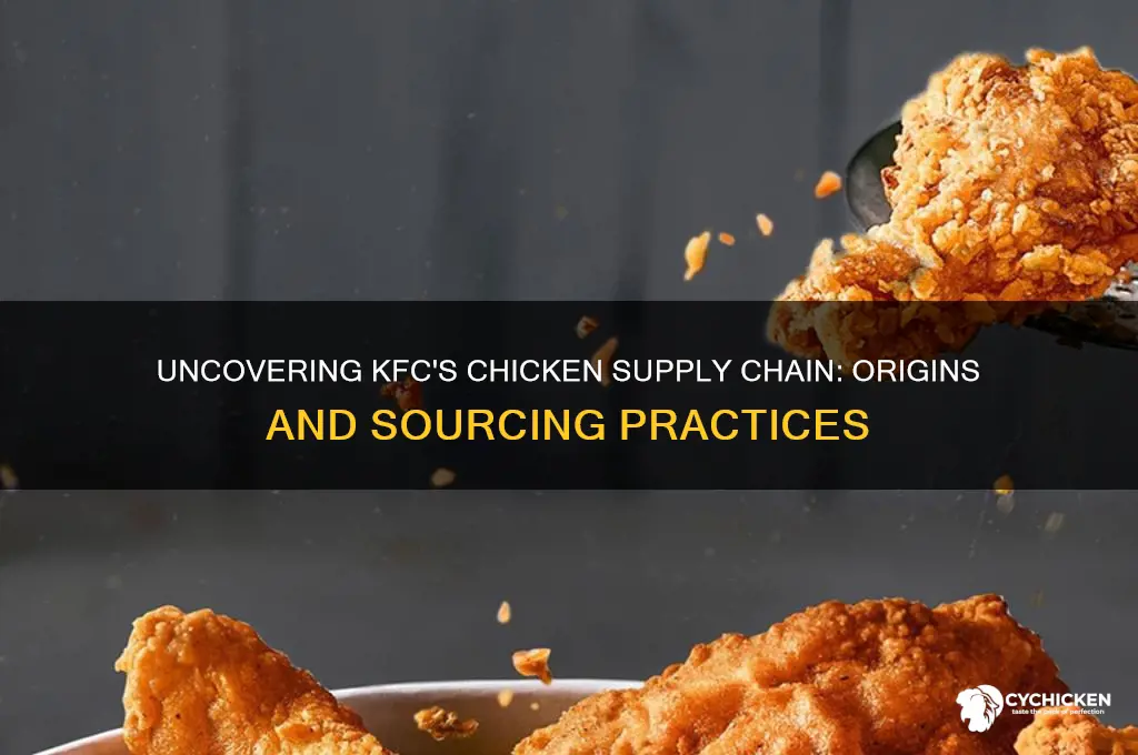 where do kfc source their chicken from