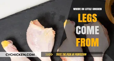 Unveiling the Origin of Tiny Chicken Drumsticks: A Farm-to-Table Journey