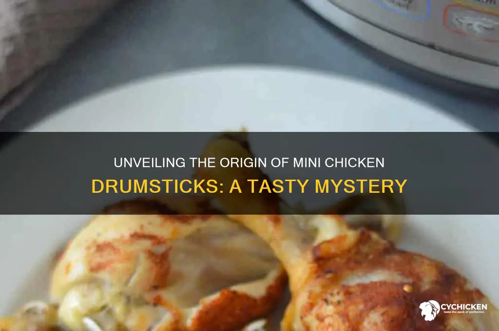 where do mini chicken drumsticks come from
