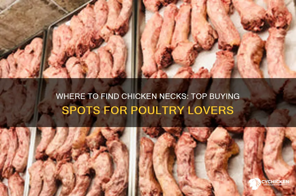 where do people buy chicken necks