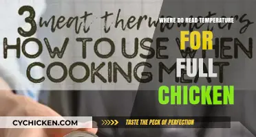 Where to Check Chicken Temperature for Perfectly Cooked Poultry