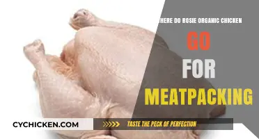 Where Rosie Organic Chickens Go for Meatpacking: A Farm-to-Table Journey