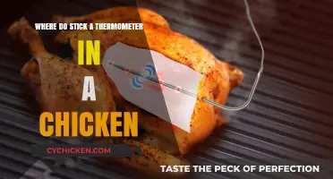 Perfectly Cooked Chicken: Thermometer Placement Tips for Juicy Results