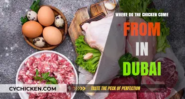 Dubai's Chicken Origins: Tracing the Journey to Your Plate