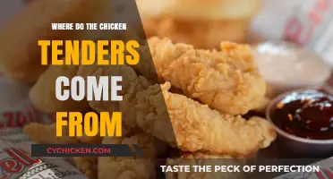 Unveiling the Origins: Where Do Chicken Tenders Really Come From?