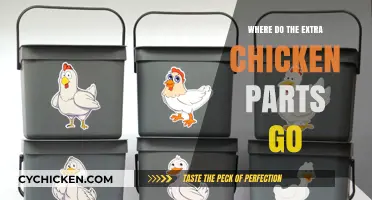 Unveiling the Mystery: Where Do Extra Chicken Parts Go?