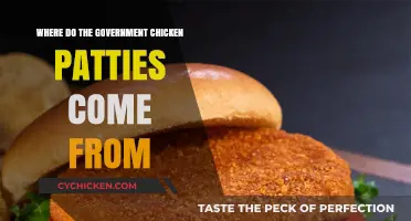 Unveiling the Source: The Origin of Government-Supplied Chicken Patties