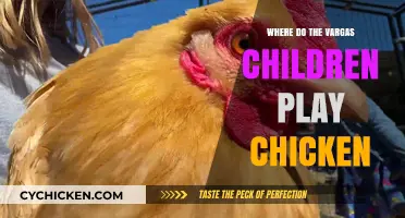 Where Do the Vargas Children Play Chicken? Uncovering Their Favorite Spot