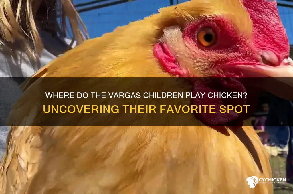 where do the vargas children play chicken