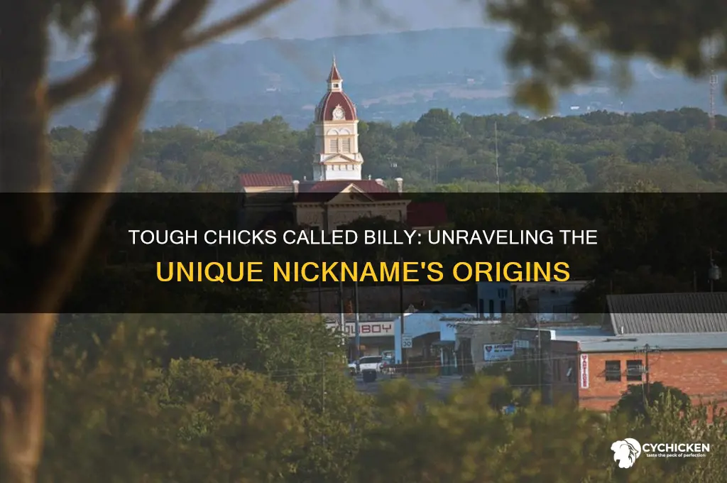 where do they call tough chicks billy