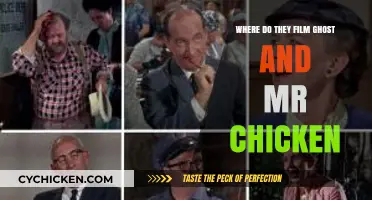 Unveiling the Filming Locations of the Classic Comedy Ghost and Mr. Chicken