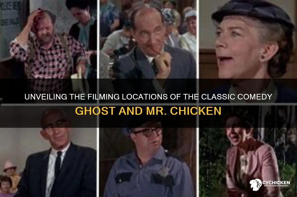 where do they film ghost and mr chicken