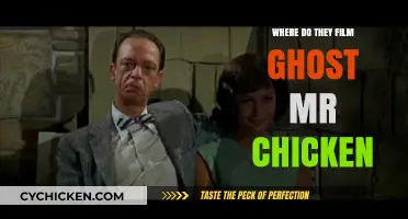 Unveiling the Filming Locations of the Classic Comedy Ghost Mr. Chicken