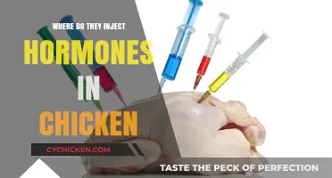 Hormone Injections in Chickens: Where and How Are They Administered?
