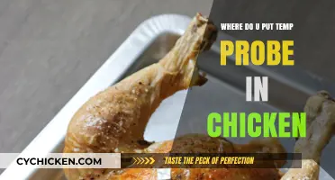 Perfect Chicken Every Time: Optimal Temp Probe Placement Guide
