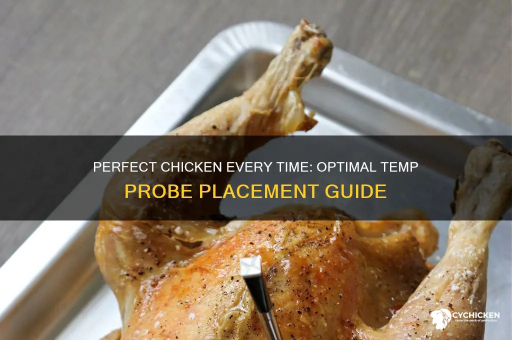 where do u put temp probe in chicken
