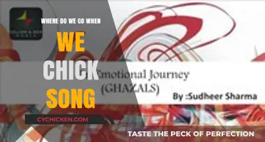 Exploring the Emotional Journey of 'Where Do We Go When We Chick Song