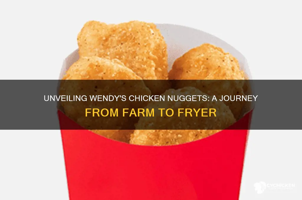 where do wendy